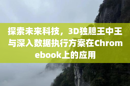 探索未来科技，3D独胆王中王与深入数据执行方案在Chromebook上的应用