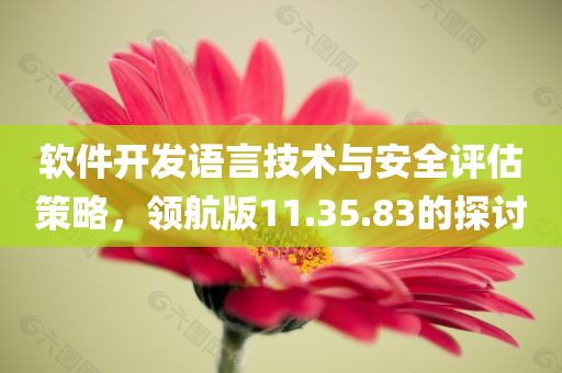 软件开发语言技术与安全评估策略，领航版11.35.83的探讨