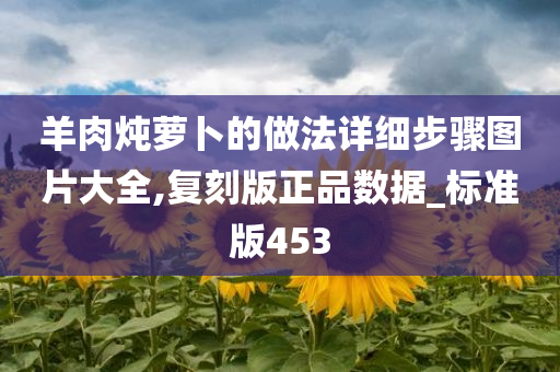 羊肉炖萝卜的做法详细步骤图片大全,复刻版正品数据_标准版453