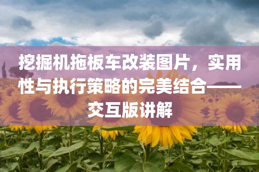 挖掘机拖板车改装图片，实用性与执行策略的完美结合——交互版讲解