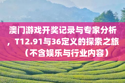 澳门游戏开奖记录与专家分析，T12.91与36定义的探索之旅（不含娱乐与行业内容）