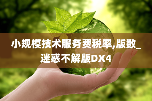 小规模技术服务费税率,版数_迷惑不解版DX4