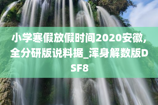 小学寒假放假时间2020安徽,全分研版说料据_浑身解数版DSF8