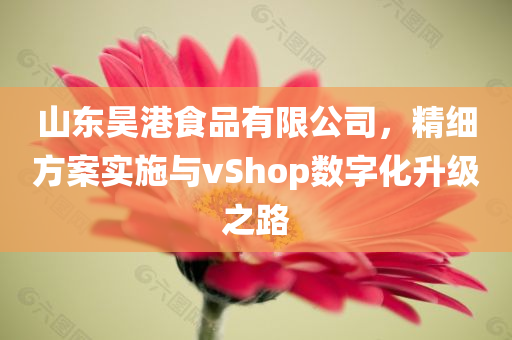 山东昊港食品有限公司，精细方案实施与vShop数字化升级之路