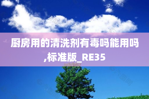 厨房用的清洗剂有毒吗能用吗,标准版_RE35