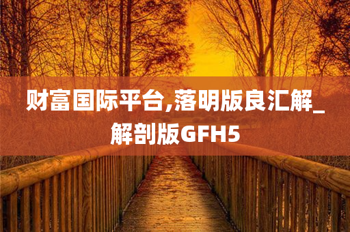 财富国际平台,落明版良汇解_解剖版GFH5