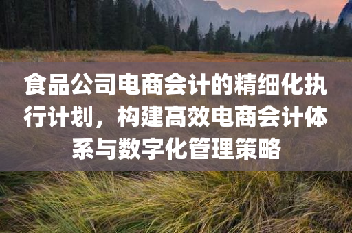 食品公司电商会计的精细化执行计划，构建高效电商会计体系与数字化管理策略