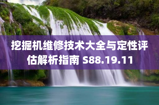 挖掘机维修技术大全与定性评估解析指南 S88.19.11