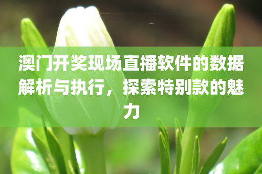 澳门开奖现场直播软件的数据解析与执行，探索特别款的魅力