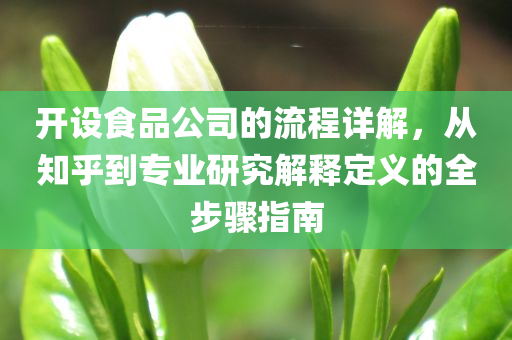 开设食品公司的流程详解，从知乎到专业研究解释定义的全步骤指南