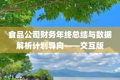 食品公司财务年终总结与数据解析计划导向——交互版