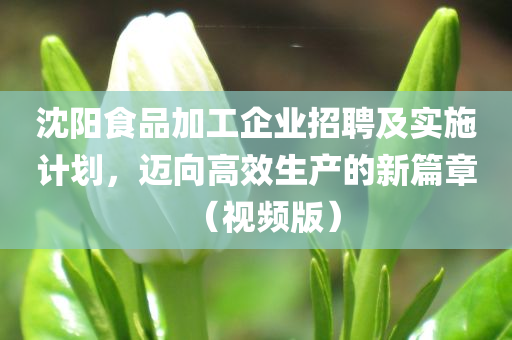 沈阳食品加工企业招聘及实施计划，迈向高效生产的新篇章（视频版）