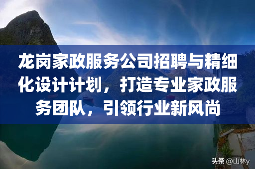 龙岗家政服务公司招聘与精细化设计计划，打造专业家政服务团队，引领行业新风尚