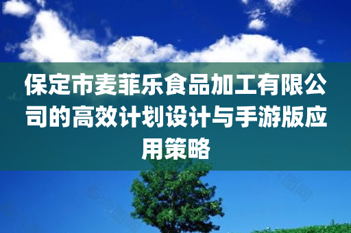 保定市麦菲乐食品加工有限公司的高效计划设计与手游版应用策略