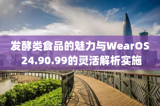 发酵类食品的魅力与WearOS 24.90.99的灵活解析实施