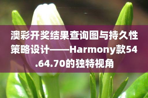 澳彩开奖结果查询图与持久性策略设计——Harmony款54.64.70的独特视角