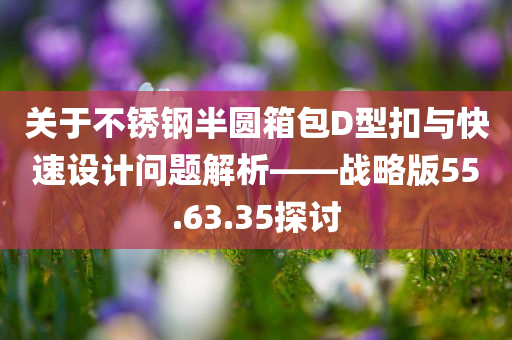 关于不锈钢半圆箱包D型扣与快速设计问题解析——战略版55.63.35探讨