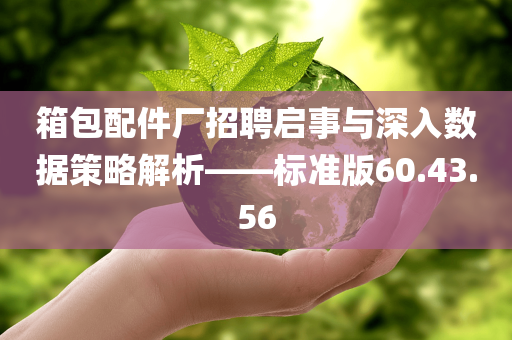 箱包配件厂招聘启事与深入数据策略解析——标准版60.43.56