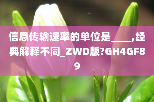 信息传输速率的单位是____,经典解释不同_ZWD版?GH4GF89