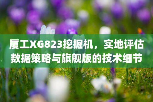 厦工XG823挖掘机，实地评估数据策略与旗舰版的技术细节