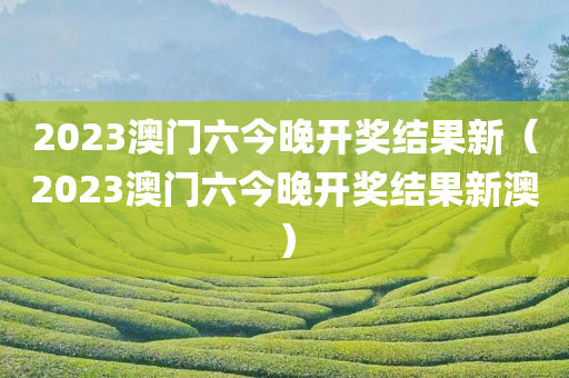 2023澳门六今晚开奖结果新（2023澳门六今晚开奖结果新澳）