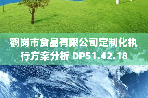 鹤岗市食品有限公司定制化执行方案分析 DP51.42.18