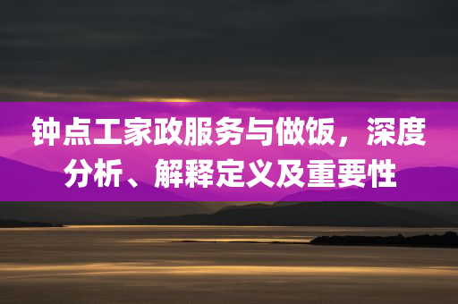 钟点工家政服务与做饭，深度分析、解释定义及重要性