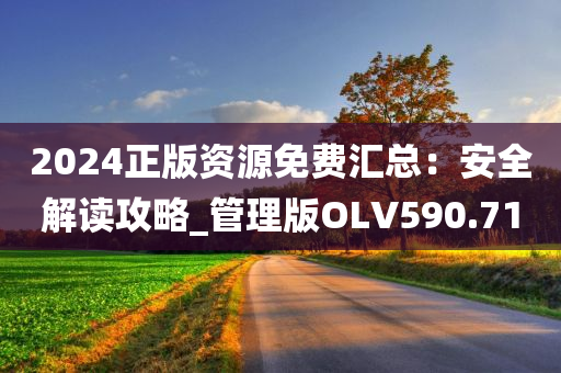 2024正版资源免费汇总：安全解读攻略_管理版OLV590.71