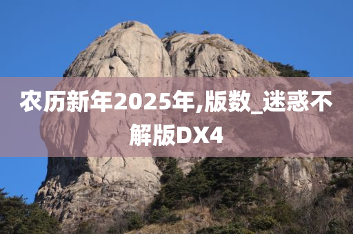 农历新年2025年,版数_迷惑不解版DX4