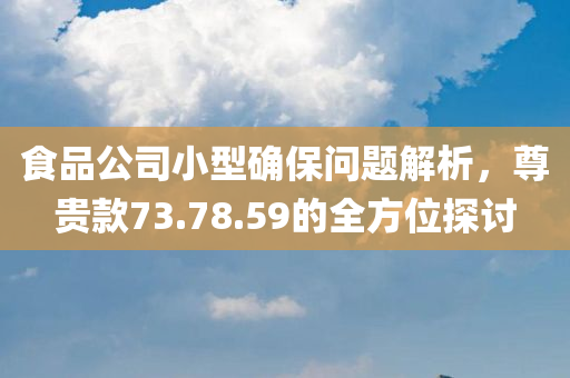 食品公司小型确保问题解析，尊贵款73.78.59的全方位探讨