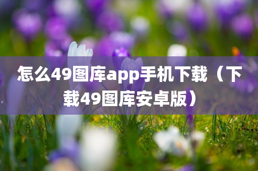 怎么49图库app手机下载（下载49图库安卓版）