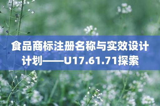 食品商标注册名称与实效设计计划——U17.61.71探索