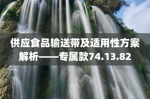 供应食品输送带及适用性方案解析——专属款74.13.82