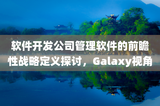 软件开发公司管理软件的前瞻性战略定义探讨，Galaxy视角