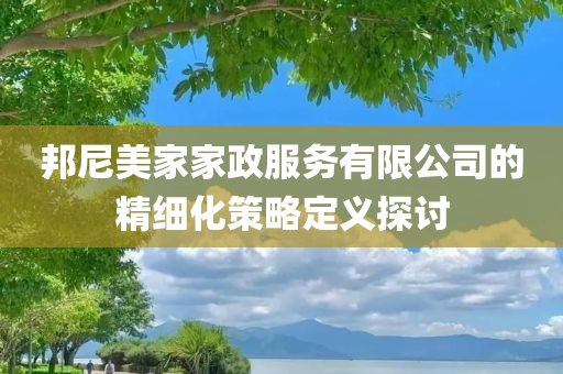 邦尼美家家政服务有限公司的精细化策略定义探讨