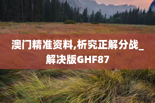 澳门精准资料,析究正解分战_解决版GHF87