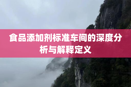 食品添加剂标准车间的深度分析与解释定义