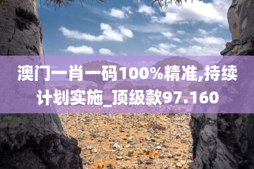 澳门一肖一码100%精准,持续计划实施_顶级款97.160