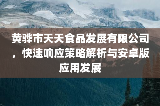 黄骅市天天食品发展有限公司，快速响应策略解析与安卓版应用发展