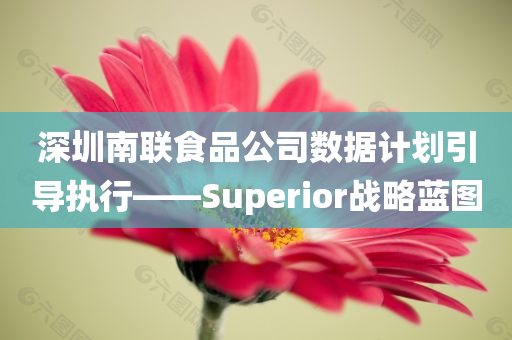 深圳南联食品公司数据计划引导执行——Superior战略蓝图