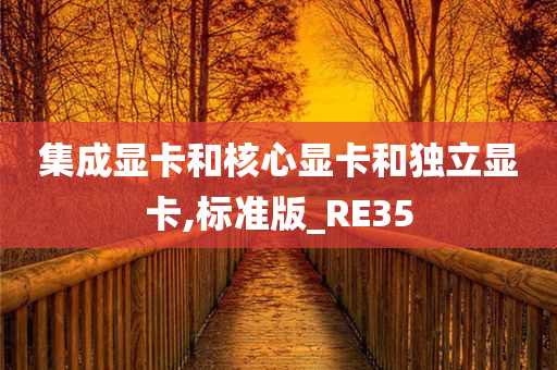 集成显卡和核心显卡和独立显卡,标准版_RE35