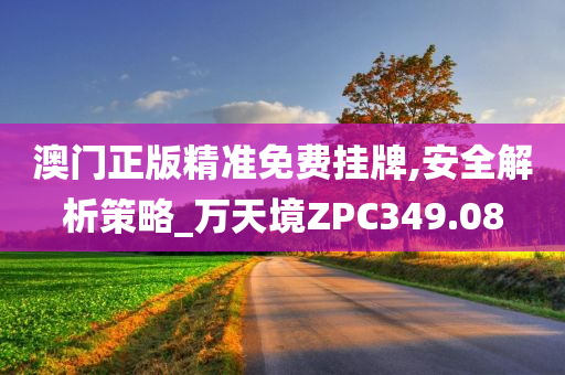 澳门正版精准免费挂牌,安全解析策略_万天境ZPC349.08