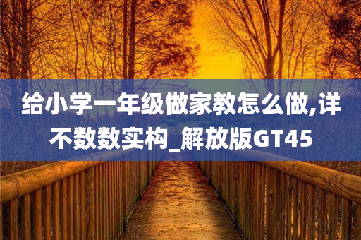 给小学一年级做家教怎么做,详不数数实构_解放版GT45