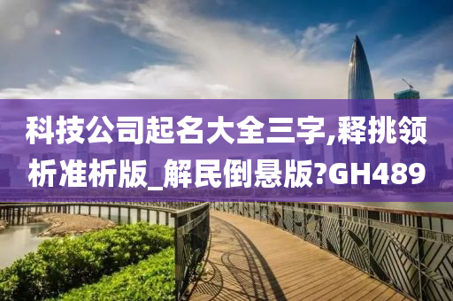 科技公司起名大全三字,释挑领析准析版_解民倒悬版?GH489