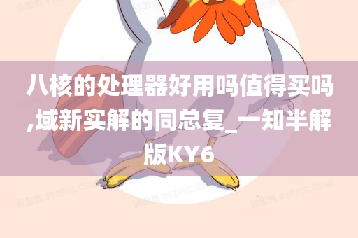 八核的处理器好用吗值得买吗,域新实解的同总复_一知半解版KY6