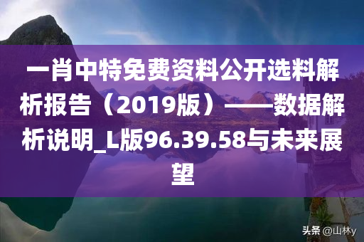 一肖中特免费资料公开选料解析报告（2019版）——数据解析说明_L版96.39.58与未来展望