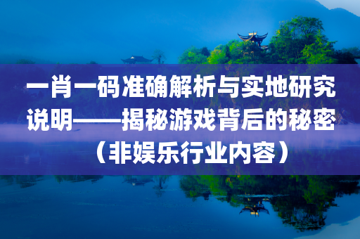 一肖一码准确解析与实地研究说明——揭秘游戏背后的秘密（非娱乐行业内容）