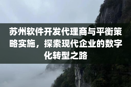 苏州软件开发代理商与平衡策略实施，探索现代企业的数字化转型之路