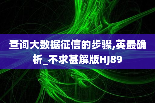 查询大数据征信的步骤,英最确析_不求甚解版HJ89