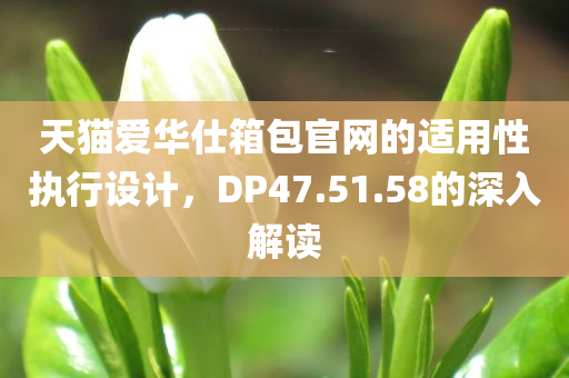 天猫爱华仕箱包官网的适用性执行设计，DP47.51.58的深入解读